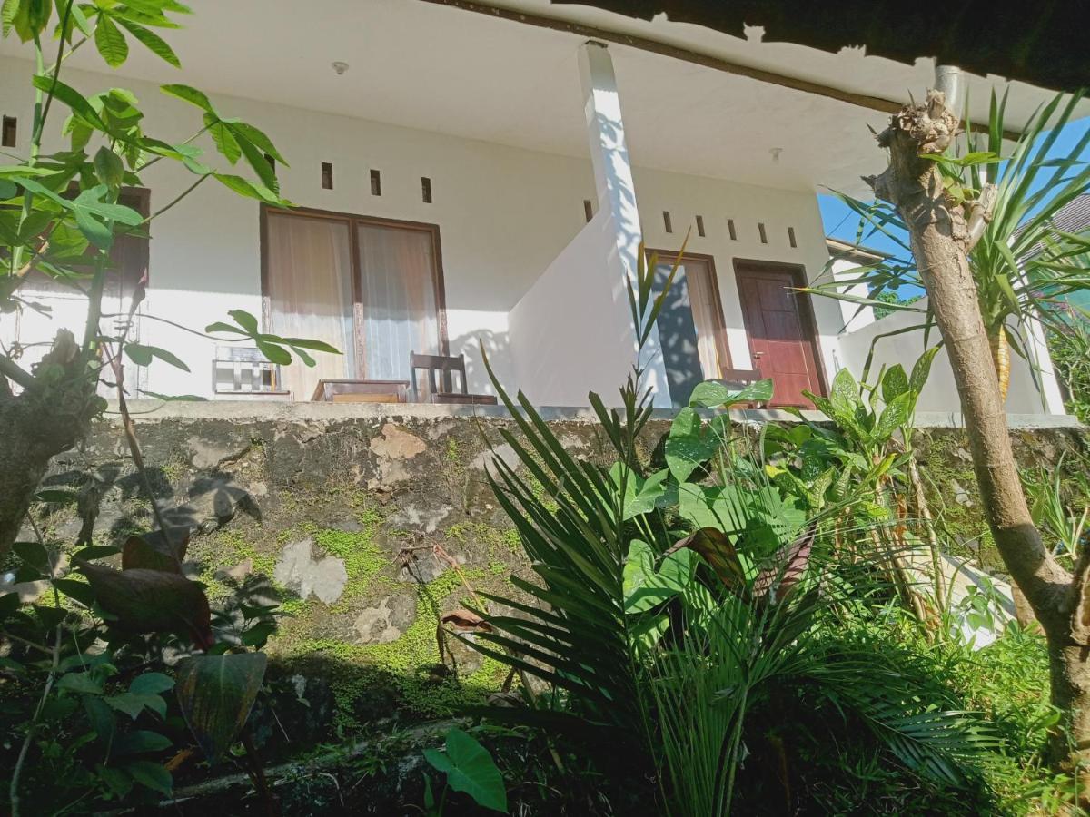 Tiu Kelep Homestay Senaru Bilik gambar