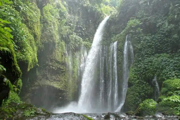 Tiu Kelep Homestay Senaru Luaran gambar